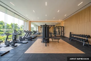 Gymnasium